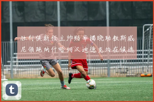 独行侠新任主帅赔率揭晓助教斯威尼领跑纳什哈姆汉迪德克均在候选之中